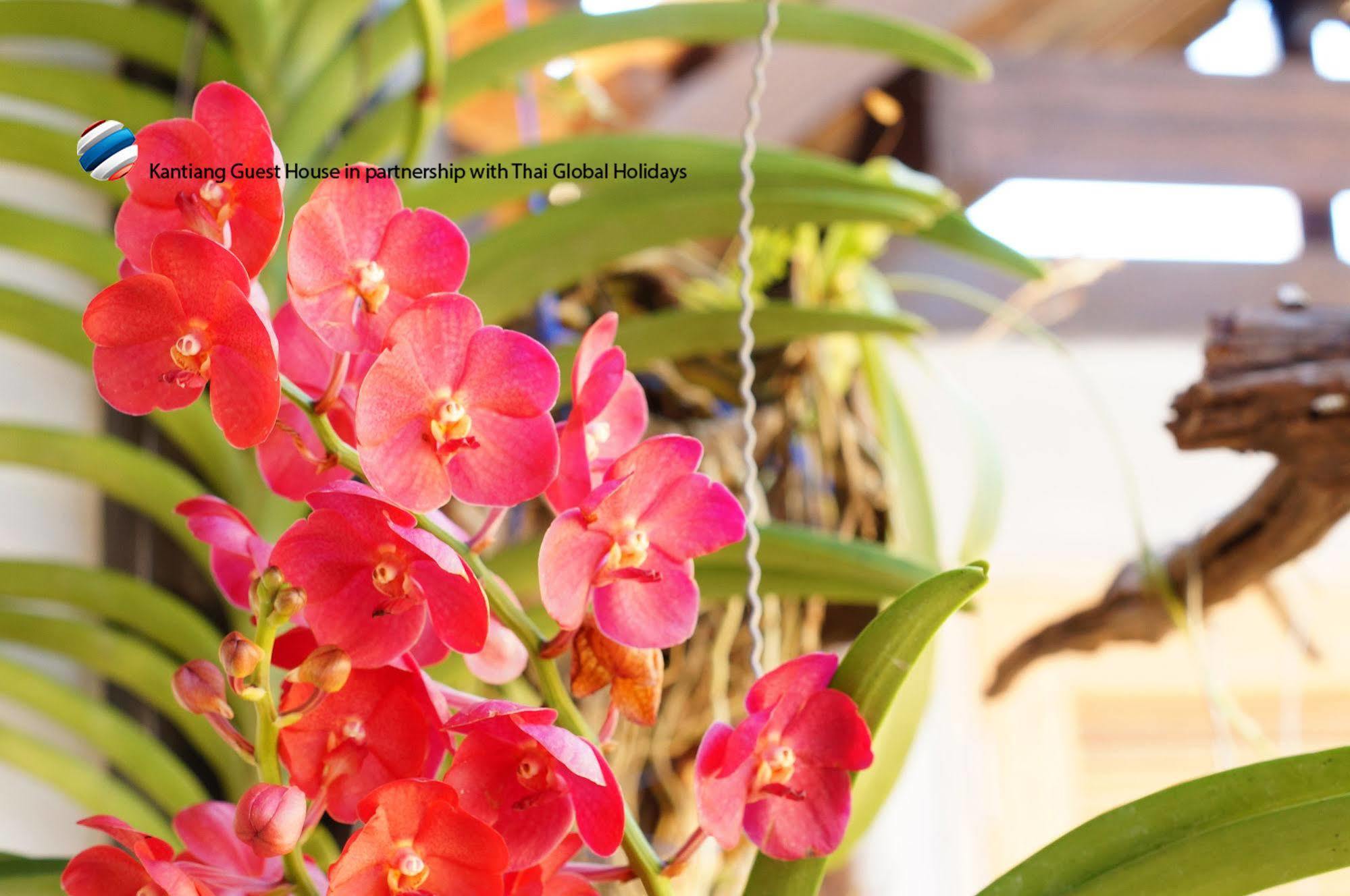 Kantaing Boutique Guest House Ko Lanta エクステリア 写真